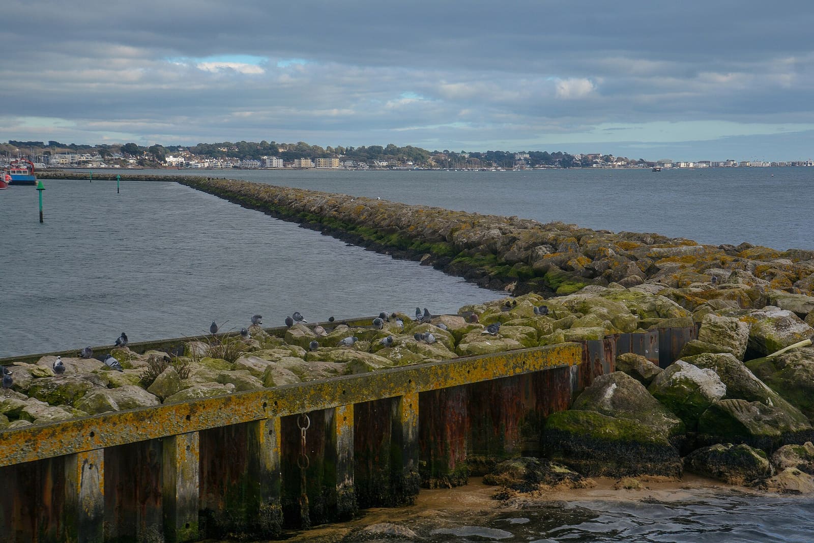 Clifftop view over Poole Bay